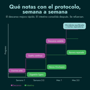 PROTOCOLO GUT & SLEEP