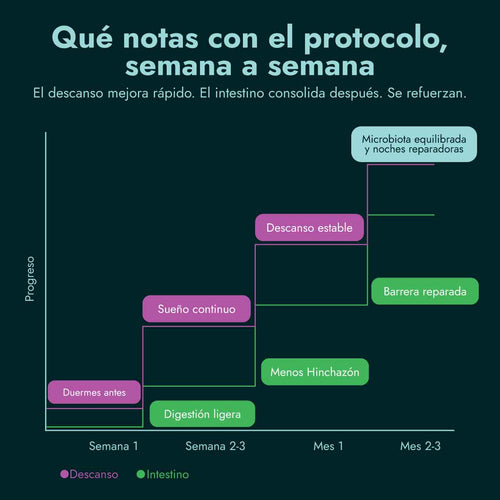 PROTOCOLO GUT & SLEEP